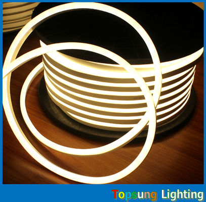 Φως LED μεγέθους 10*18mm φως σκοινίς με φως νεόνιο με πιστοποίηση CE rohs ul