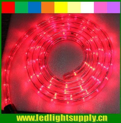 Εξωτερικό φως χριστουγεννιάτικου σχοινιού 12/24v 1/2' 2 καλωδίων LED φώτα σχοινιού