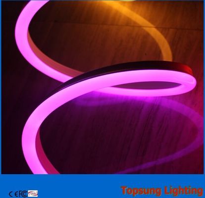 διακοσμητικά διπλής όψης φώτα νεονίου με φως πορφυρό χρώμα 24v για κτίριο