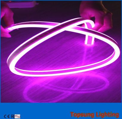 220v μοβ διπλής όψης φως νεόνιο flex διακόσμηση κτιρίων LED