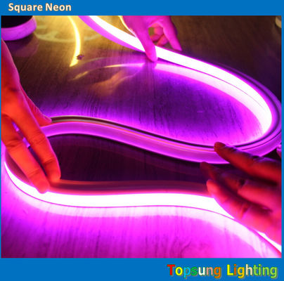 υψηλής ποιότητας φως LED 240v ροζ τετράγωνο 16*16m φεγγαρό καλώδιο νεονίου