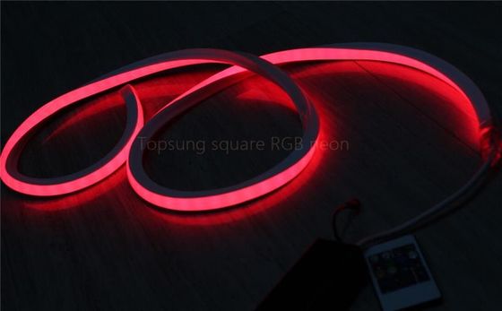 2016 νέος τετράγωνος 100v κόκκινο LED νεόνιο flex 16x16mm για το κτίριο