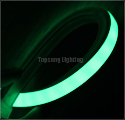 Πράσινο ευέλικτο φως νεονίου φωτεινό 115v 16*16m για δωμάτια
