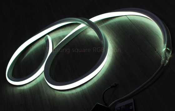 θερμή πώληση RGB 16*16m 127V επίπεδο φως νεόνου LED φως κατασκευασμένο στην Κίνα