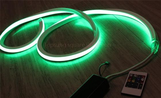 θερμές πωλήσεις μακράς διάρκειας 110v πράσινα LED φωτιστικά νεονίου ip67 pvc για δωμάτια