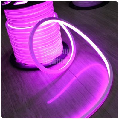υψηλής ποιότητας τετραγωνικά φως νεόνιο flex 12v μωβ ροζ φώτα σχοινί για την εφαρμογή μηχανικών έργων