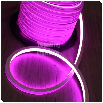 2016 νέο ροζ τετράγωνο 12v 16*16m LED φως νεόνιο flex για το δωμάτιο