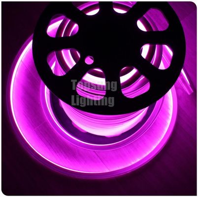 2016 νέο ροζ τετράγωνο 12v 16*16m LED φως νεόνιο flex για το δωμάτιο