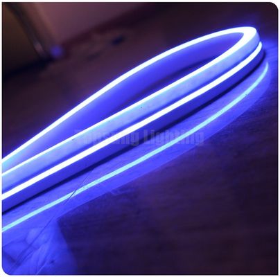 11x19mm πλευρική θέα επίπεδης εκπομπής λάμπας LED νεόνιο ευέλικτη λάμψη διακόσμηση λωρίδες φωτισμού