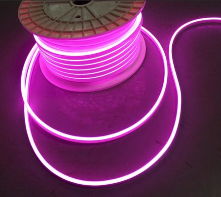 Υψηλής ποιότητας Προσαρμοσμένη Σημείωση 12V Αδιάβροχο μικροστάσιο 5mm Led Neon Light Φλεξ φώτα σχοινιών ροζ μωβ