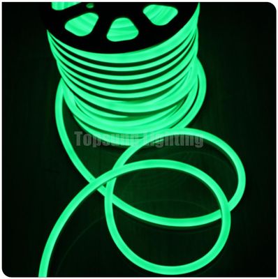 SMD 2835 φως νεόνιο 12V flex σχοινί εξωτερικό αδιάβροχο φως νεόνιο σκιά LED πράσινο χρώμα