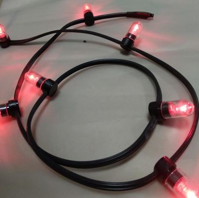 Χαμηλή τάση τροφοδοτούμενη LED String Φώτα ροζ χρώμα Χριστούγεννα LED 100m Strings 666LED