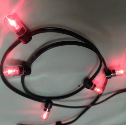 Χαμηλή τάση τροφοδοτούμενη LED String Φώτα ροζ χρώμα Χριστούγεννα LED 100m Strings 666LED