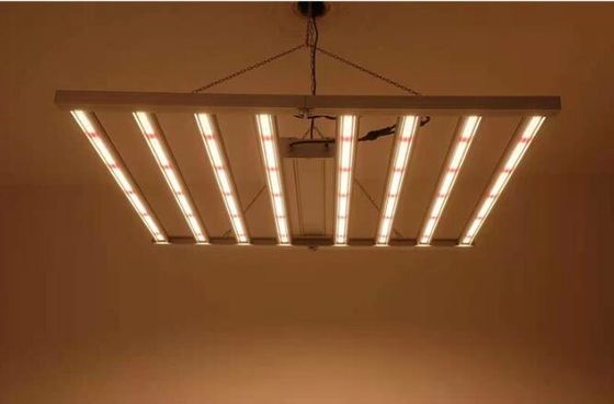 Πλήρες φάσμα 600W εσωτερικά φώτα LED Grow Mix Cree 660nm φώτα φυτικής ανάπτυξης